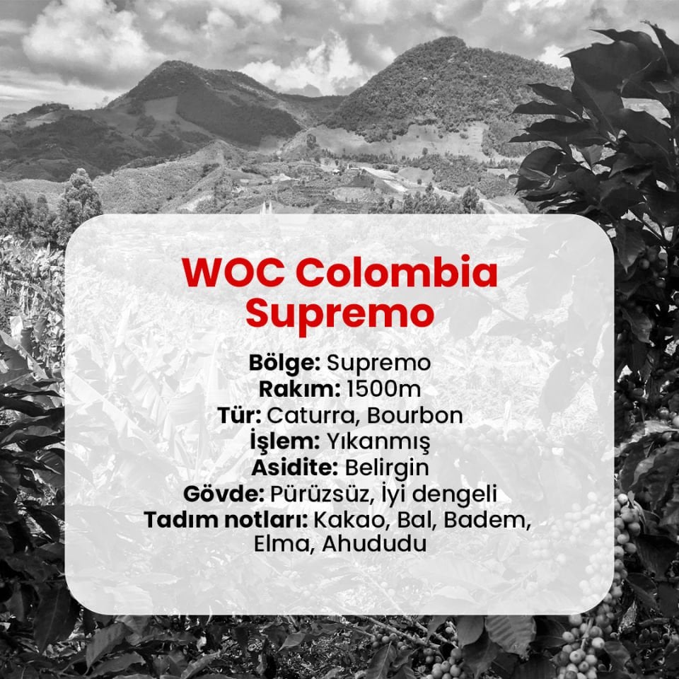WOC Colombia Supremo Coffee