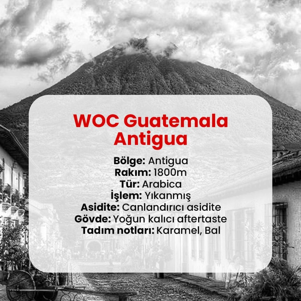 WOC Guatemala Antigua Coffee