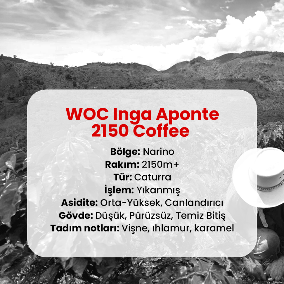 WOC Inga Aponte 2150 Coffee - 250 Gram